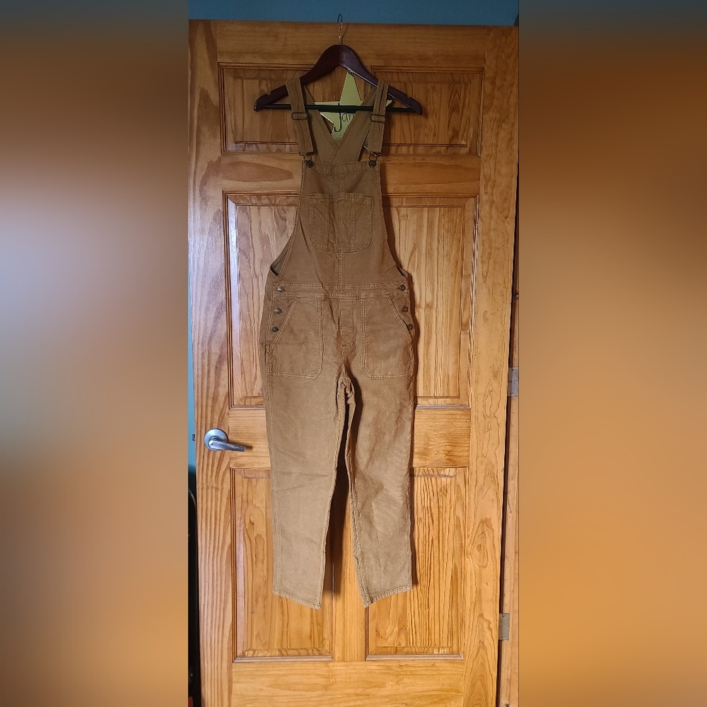 American Eagle Tomgirl Overalls
